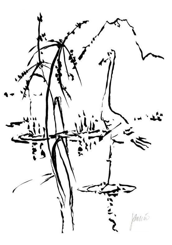 Crane