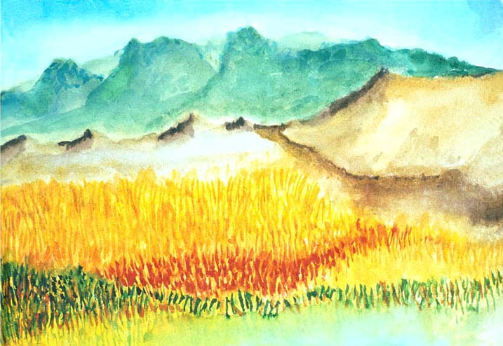 Golden Meadows